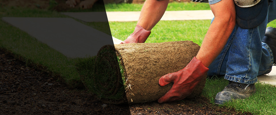 Nampa Landscapers